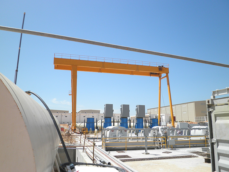 歐標(biāo)門式起重機(jī)