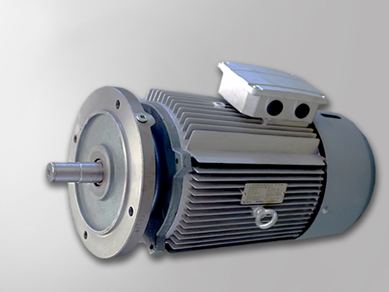 F/K/R系列變頻運行電機